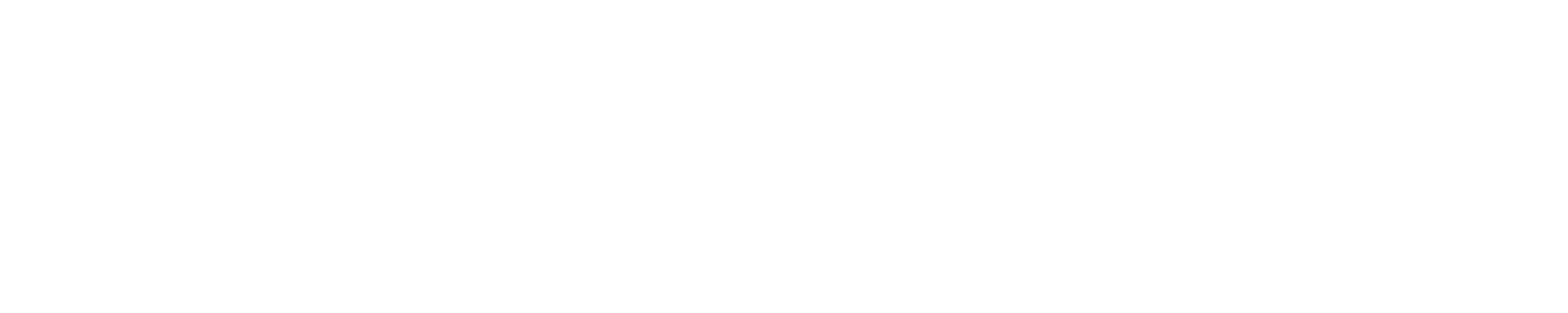 logo light